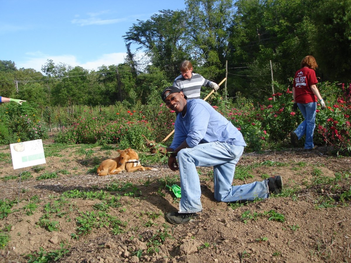 SSS Gardening Club member helping at Cullowhee Community Garden