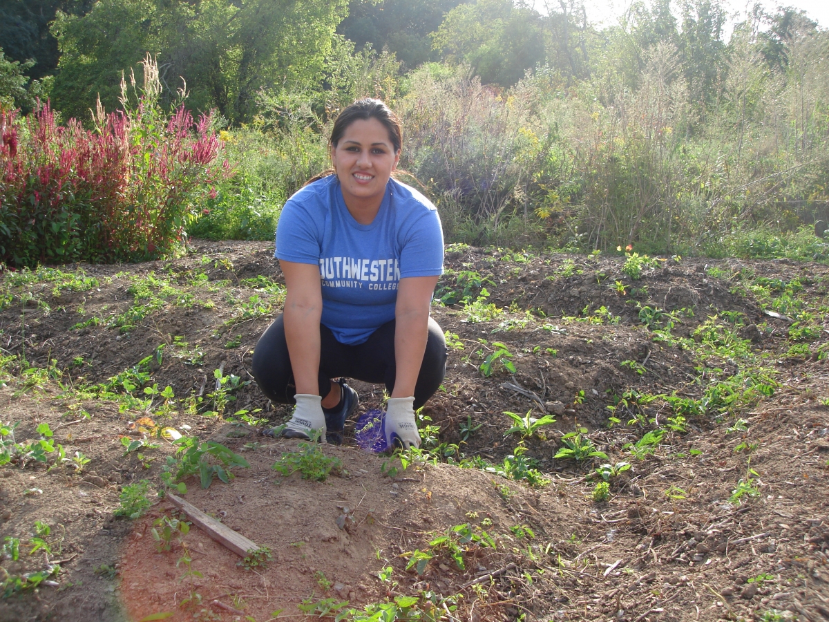 Another SSS Gardening Club member helping at Cullowhee Community Garden