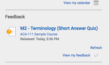 moodle feedback image