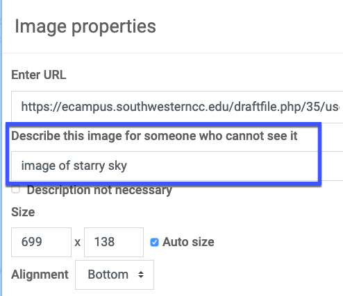 screenshot of Moodle option to add alt text