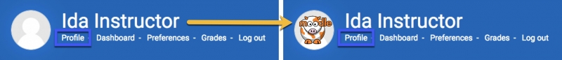 Profile Picture images