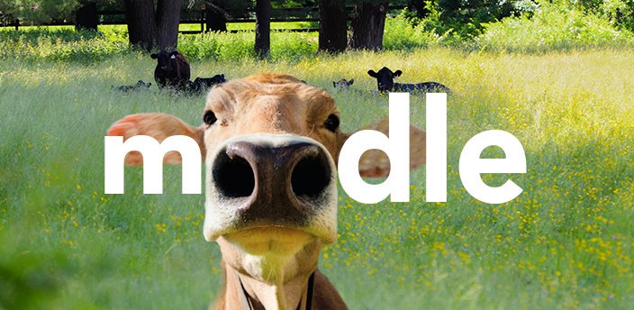 Moodle Cow