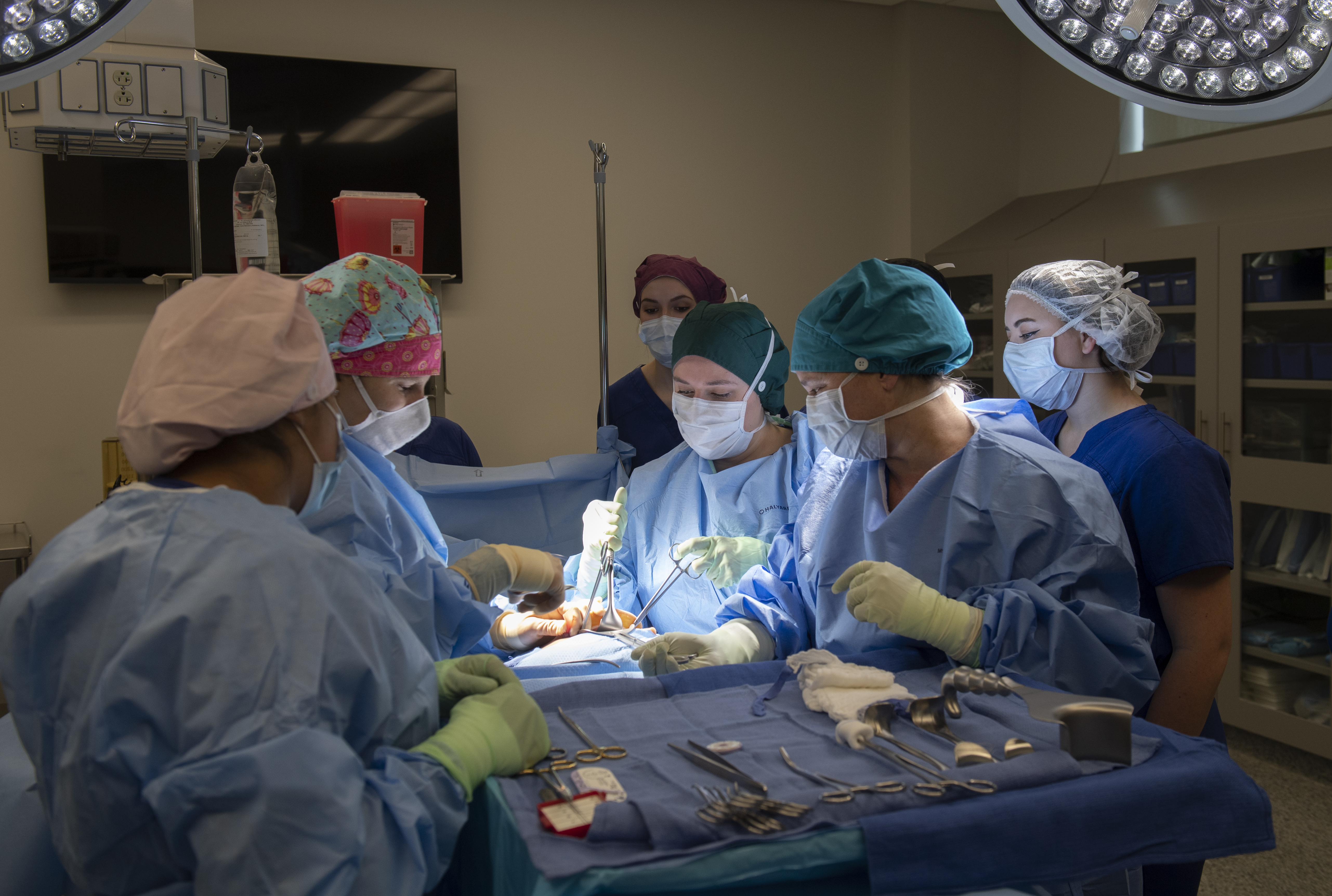 Students and instructor work with surgical instruments