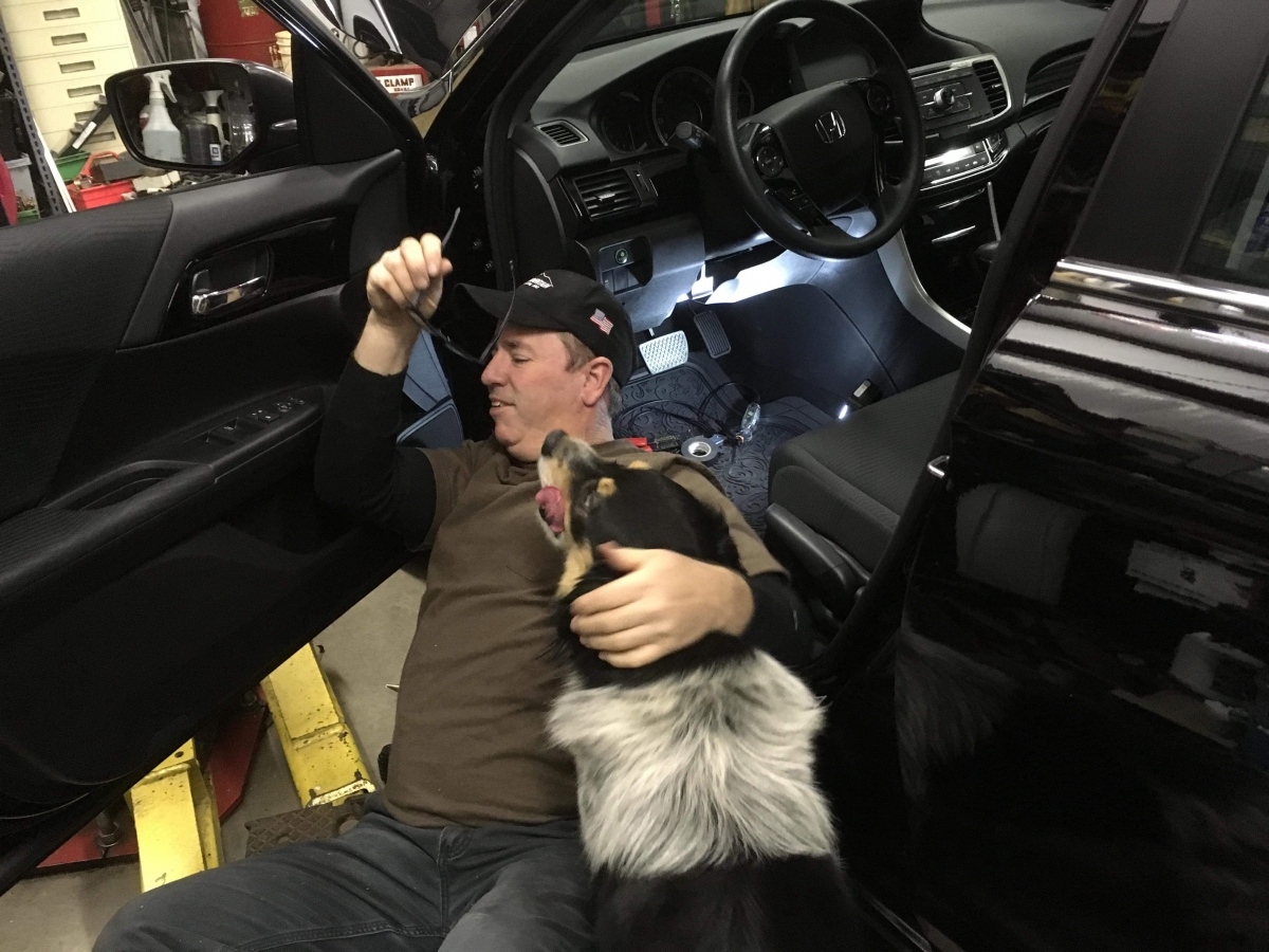 A man works on the inside of a car while his dog affectionately tries to play with him