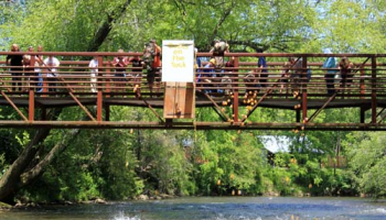 A female student receives her certificate from man in a suit and tie.