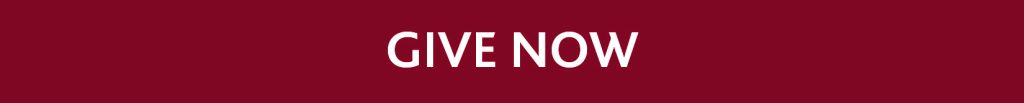 Give Now 3